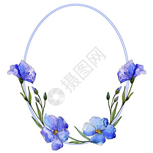 蓝色亚麻花卉植物花框架边框装饰广场背景纹理包装图案框架或边框图片