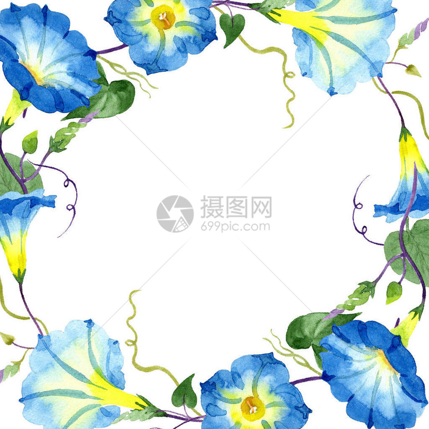 番薯蓝花卉植物花框架边框装饰广场背景纹理包装图案框架或边框图片