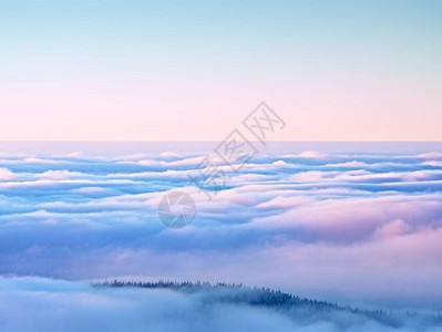 逆雾之上的最高山丘图片