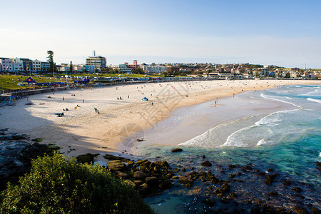 在澳大利亚悉尼的夏日欣赏邦迪海滩图片