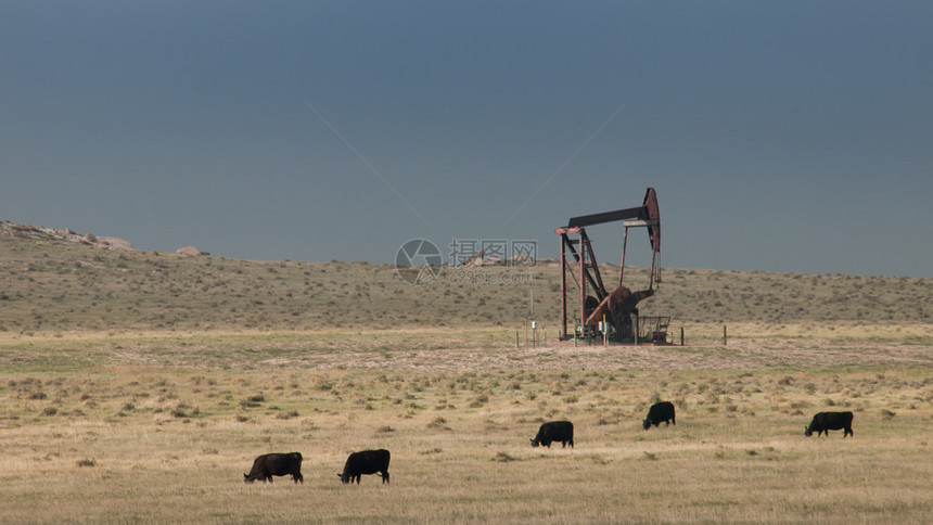 怀俄明州夏延的油田上的抽油机图片