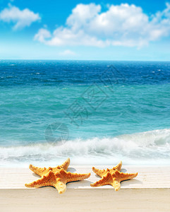 海边沙滩上的海星图片