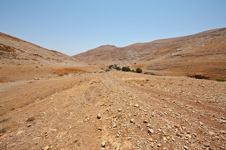 以色列Samari图片