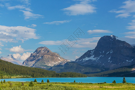 加拿大Banff公园IcefieldsP图片