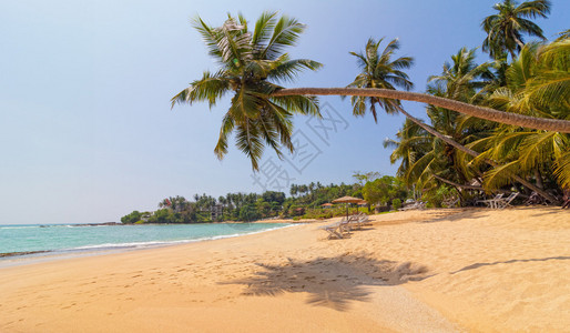 热带海滩斯里兰卡沙地图片