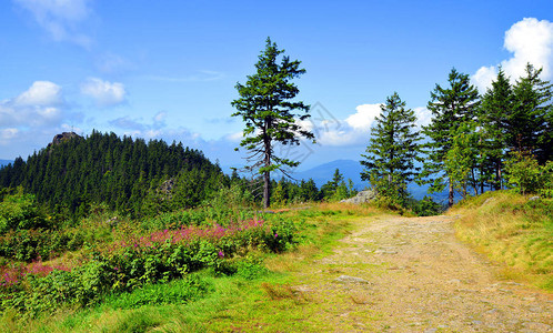 德国巴伐利亚公园森林的山地景色与KleinO图片