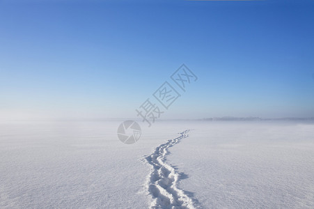 湖上干净雪中的鞋印底有图片