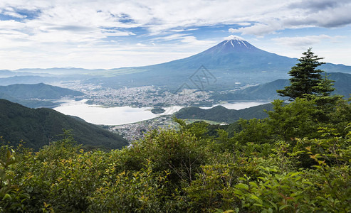 夏季的富士山和河口湖图片