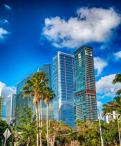 迈阿密市中心摩天大楼在阳图片