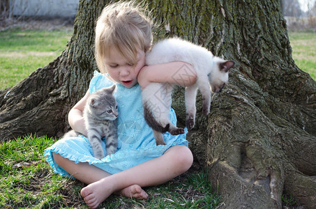 小女孩努力在她的腿上抓住太多的小猫一个孩子和她活跃的宠物也许太多的小图片