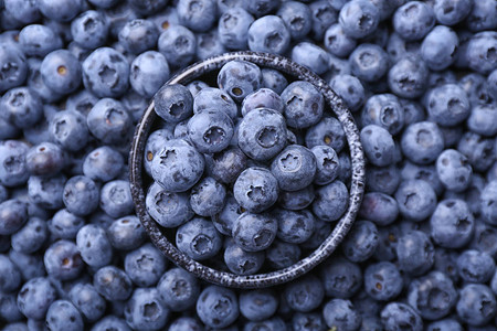 碗里有新鲜成熟的蓝莓顶视图背景图片