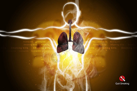 人体呼吸系统与肺的数字插图图片
