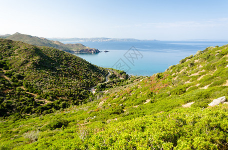 南沙地尼亚荒野海岸全景靠近图片