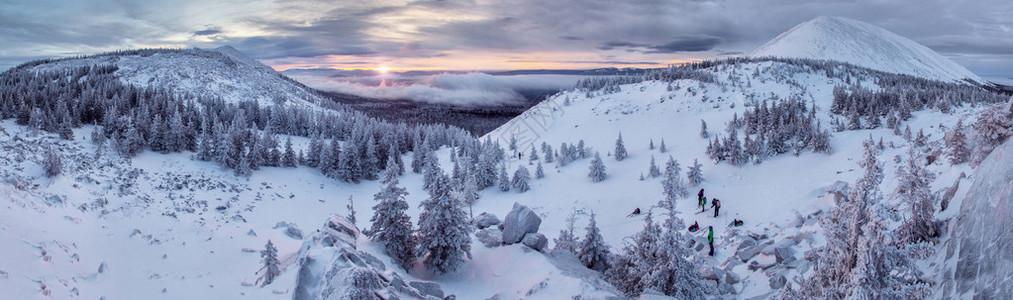 山脉森林和雪地的全景图片