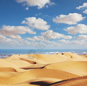 西撒哈拉大西洋沿岸摩洛哥图片
