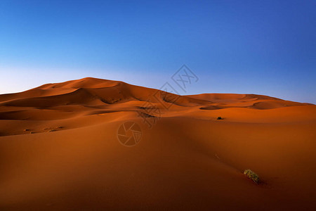 北非摩洛哥Merzouga附近的Erg图片
