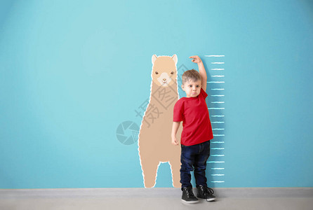 在彩墙附近测量身高的小男孩背景图片