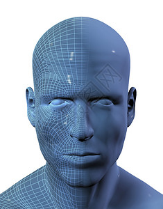 3D将半张脸的雄面部图片