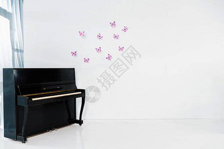 白色背景的黑色钢琴有紫蝴图片