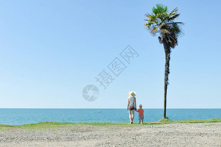母亲和儿子站在高的棕榈树海与蓝天图片