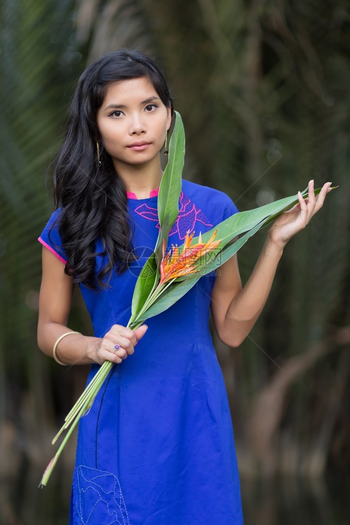 穿蓝AoDai礼服的年轻漂亮的越南女人拿着大叶子的橙图片