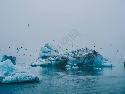 冰岛Jokulsarlon的冰雪图片