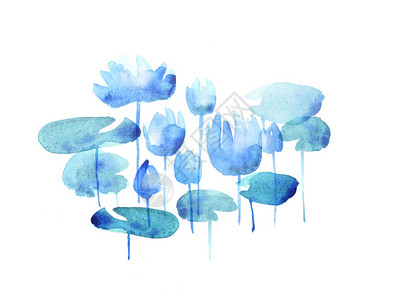 蓝色的水莲花盛开的花朵水彩手绘插图图片
