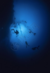 加勒比海伯利兹UW照片伯利兹蓝洞深潜BelizeBlue背景图片