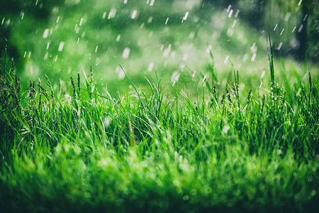 下雨天下雨图片