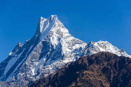 尼泊尔Annapurna地区的Macha图片