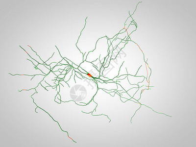 大脑神经元图片