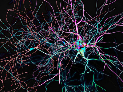 大脑神经元突触神经元的神经网络图片