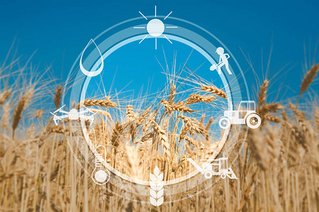 物联网智能农业和农业技术用于管理控制和监测农业自由空间的数图片