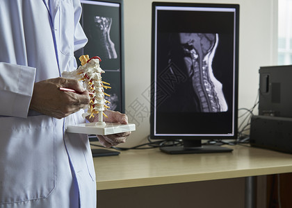 神经外科医生指向人体宫颈脊椎模型在医务室的解剖图片