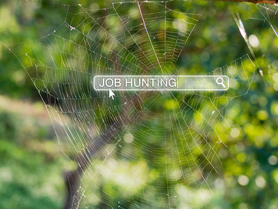 在蜘蛛网寻找工作和人力资源概念的搜索箱中寻找图片