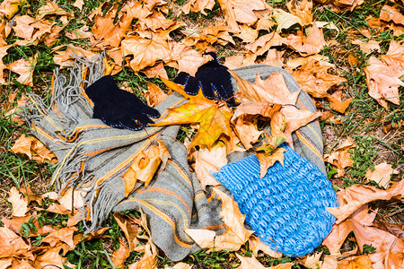 秋叶上躺着暖和的衣服图片