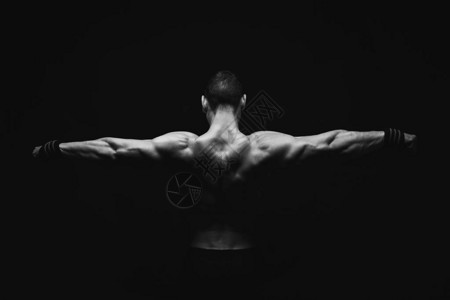 无法辨认的人体健美建筑师展示了强壮的手和背肌肉运动斗兽座图片