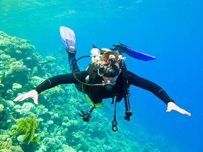 潜水员在红海的水下高清图片