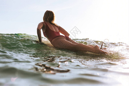 穿着游泳衣在海洋中冲浪的女人的背影背景图片