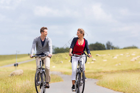 夫妇骑自行车旅行乘坐自行车在单与绵羊图片