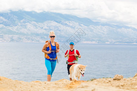 幸福的情侣徒步旅行者带着秋田犬在海边的夏天山上徒步旅行图片
