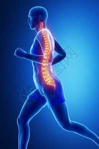 椎管有可见脊椎的跑步者背景