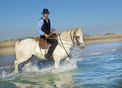 在海中骑马和骑马图片