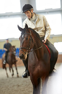 赛前训练马的骑师图片