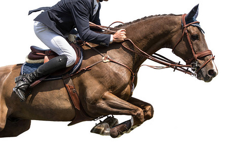 马术运动骑马跳活动图片