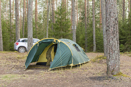 森林里游客的帐篷图片