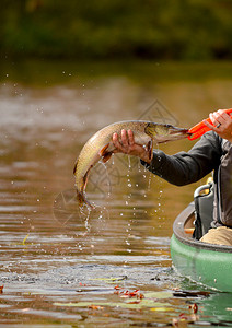 男人在独木舟中钓鱼图片