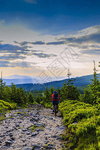 山地自行车骑自行车在夏季山区森林景观男子骑自行车MTB流径赛道图片