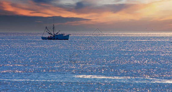 早上在海岸外的一艘捕虾船图片