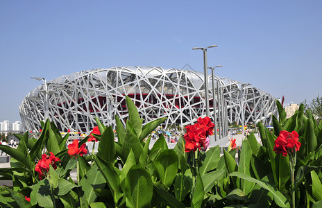 北京奥运会鸟巢体育场背景图片